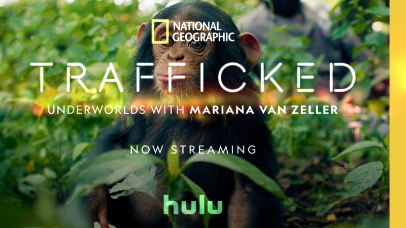 Trafficked / National Geographic